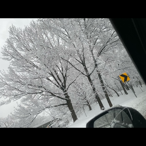 Meet your Posher, Chris - Picture 1 of 1